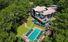 70 Hectares... et l'Océan